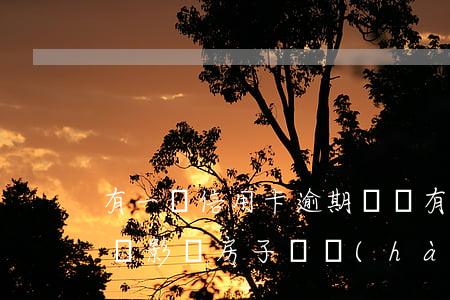 有一條信用卡逾期記錄(有一條信用卡逾期記錄影響房子搖號(hào)嗎)