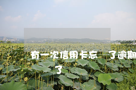 有一次信用卡忘記了逾期了(上個月信用卡忘記還了)