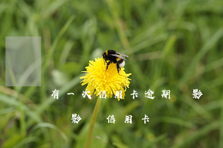 有一次信用卡逾期會影響貸款 銀行貸款逾期會影響信用卡嗎