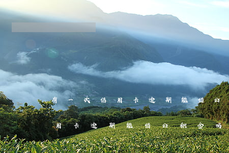 有一次信用卡逾期能借公积金吗-有一次信用卡逾期能借公积金吗