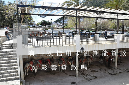 有一次信用卡逾期能貸款嗎（信用卡逾期了9次影響貸款嗎）