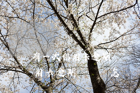 有一次信用卡逾期記錄會怎樣消除（有一次信用卡逾期記錄會怎樣）