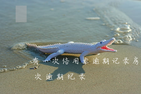 有一次信用卡逾期记录（房贷与信用卡各有一次逾期纪录）