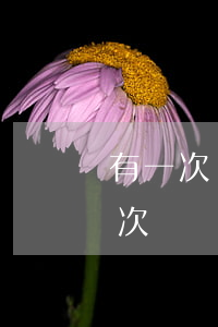有一次兩個(gè)星期的信用卡逾期(有一次兩個(gè)星期的信用卡逾期)