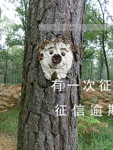 有一次征信逾期影响公务员面试吗-有一次征信逾期影响公务员面试吗知乎