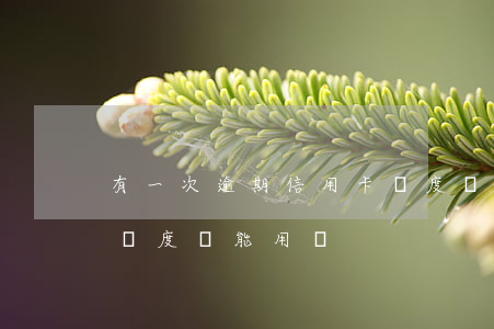 有一次逾期信用卡額度嗎(有一次逾期信用卡額度嗎能用嗎)
