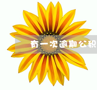 有一次逾期公积金贷款吗