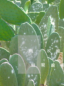 有一次逾期怎么貸款買房(在銀行貸款買房子,如果逾期怎么辦)
