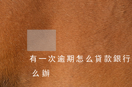 有一次逾期怎么貸款(銀行貸款有一次逾期怎么辦)