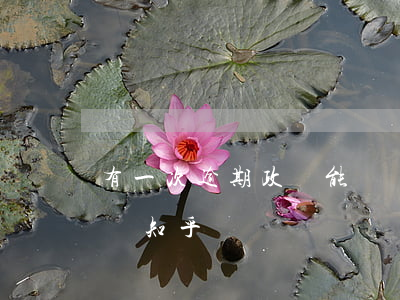 有一次逾期政審能過嗎(有一次逾期政審能過嗎知乎)