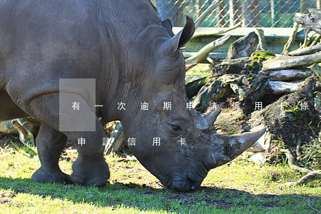 有一次逾期申請信用卡條件(有逾期多久可以申請信用卡)