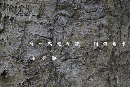 有一次逾期能辦到信用卡嗎(逾期一次辦信用卡有影響嗎)