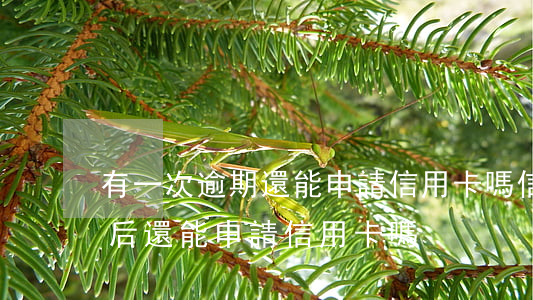 有一次逾期還能申請信用卡嗎（信用卡逾期以后還能申請信用卡嗎）