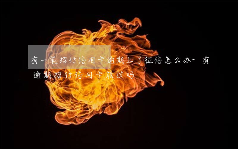 有一笔招行信用卡逾期上了征信怎么办-有逾期招行信用卡能过吗