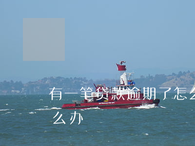有一笔贷款逾期了怎么办(贷款有一个逾期怎么办)
