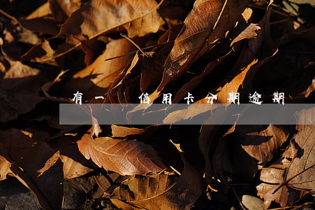 有一筆信用卡分期逾期(銀行卡分期逾期)