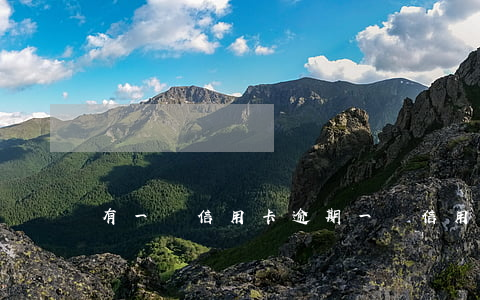 有一筆信用卡逾期（一條信用卡逾期 貸款）