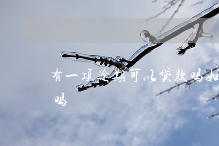 有一项逾期可以贷款吗(如果有逾期可以贷款吗)