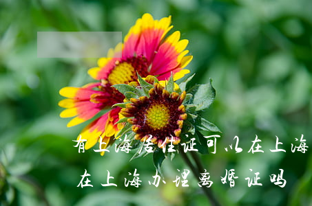 有上海居住证可以在上海办理离婚吗(外地能在上海办理离婚证吗)