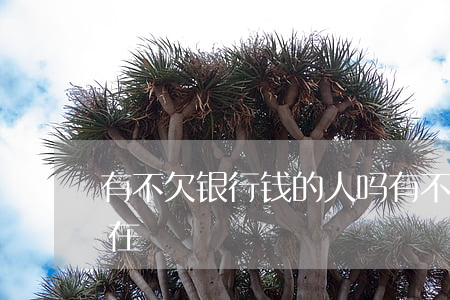 有不欠银行钱的人吗(有不欠银行钱的人吗现在)