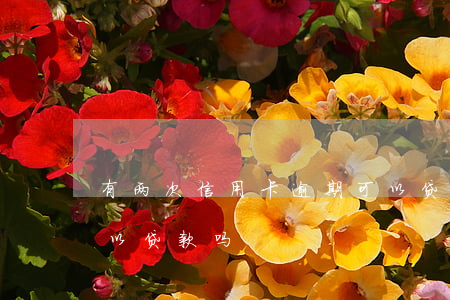 有两次信用卡逾期可以贷款吗(有2次逾期可以贷款吗)