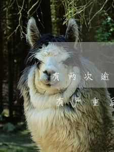 有两次逾期还款还能贷款(有两次还款逾期会有严重后果吗)