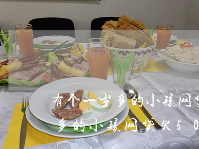 有个一岁多的小孩网贷欠50万-有个一岁多的小孩网贷欠50万怎么办