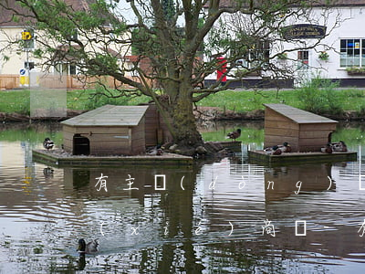 有主動(dòng)還款意愿可以和銀行協(xié)商嗎-有主動(dòng)還款意愿可以和銀行協(xié)商嗎