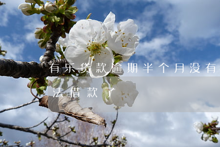 有乐贷款逾期半个月(没有逾期分期乐突然无法借款了)
