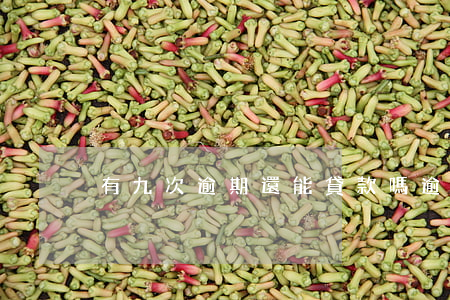 有九次逾期還能貸款嗎 逾期9次還能貸款嗎