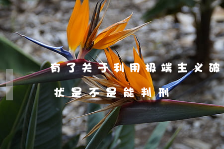 有了关于利用极端主义破坏法律实施罪起诉状是不是能判刑