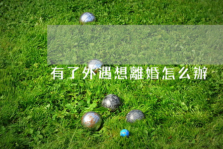 有了外遇想離婚怎么辦