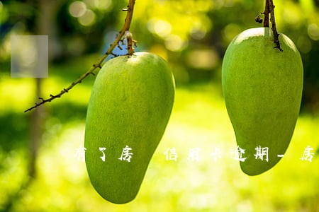 有了房貸信用卡逾期-房貸和信用卡逾期