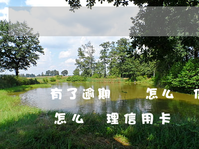 有了逾期記錄怎么辦信用卡(征信有逾期記錄怎么辦理信用卡)