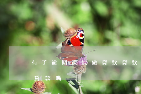 有了逾期還能做貸款(貸款逾期還完了還可以貸款嗎)