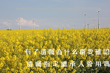 有了遺囑為什么還要確認(rèn)繼承人(遺囑指定繼承人管用嗎)