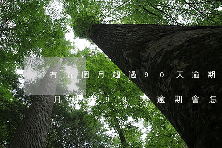 有五個月超過90天逾期會怎么樣-有五個月超過90天逾期會怎么樣呢