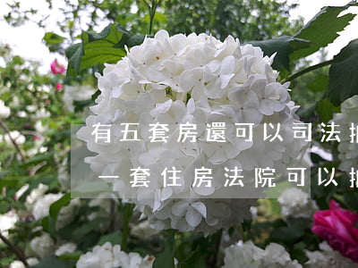 有五套房還可以司法拍賣(mài)嗎(只有一套住房,法院可以拍賣(mài))