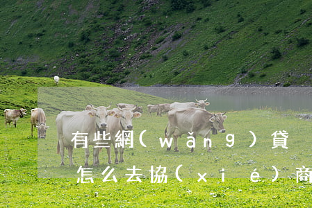 有些網(wǎng)貸沒(méi)有客服怎么去協(xié)商還款-有些網(wǎng)貸沒(méi)有客服怎么去協(xié)商還款呢