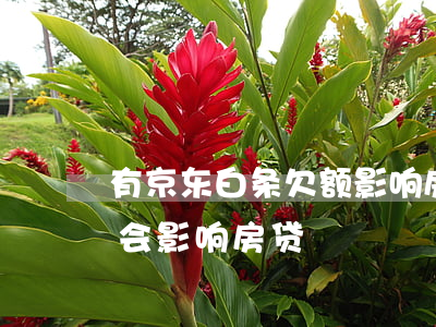 有京东白条欠额影响房贷(京东白条借款会不会影响房贷)