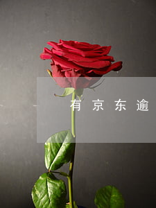 有京东逾期的吗
