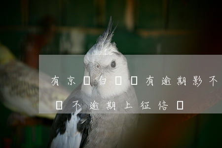 有京東白條沒有逾期影不影響征信-京東白條不逾期上征信嗎