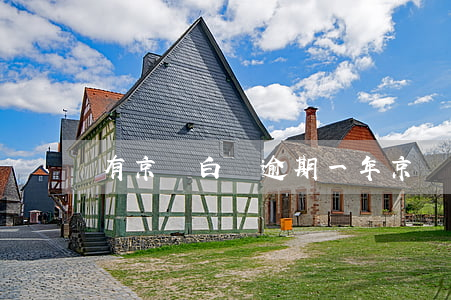 有京東白條逾期一年(京東白條逾期1個月)