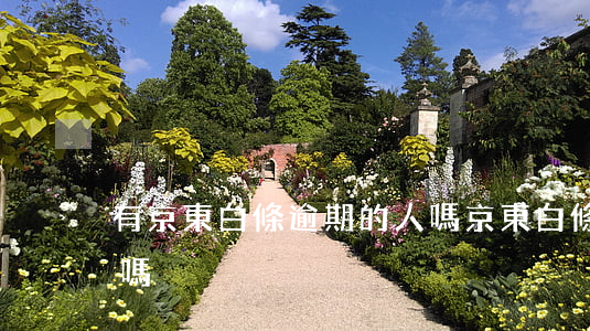 有京東白條逾期的人嗎(京東白條逾期影響大嗎)