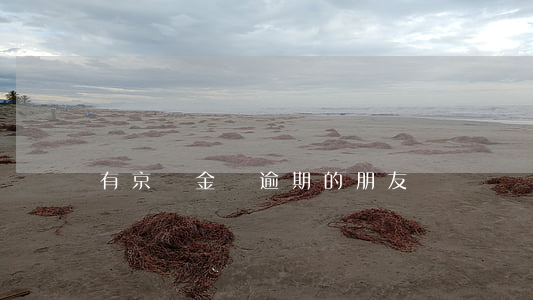 有京東金條逾期的朋友嗎