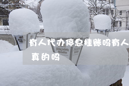 有人代办停息挂账吗(有人代办停息挂账吗是真的吗)