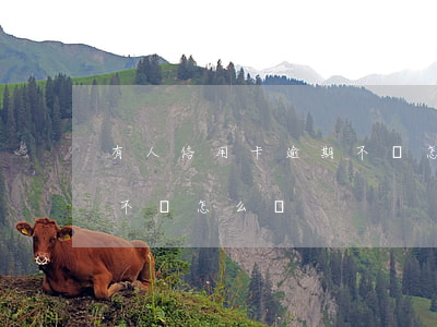 有人信用卡逾期不還怎么辦(有人信用卡逾期不還怎么辦)