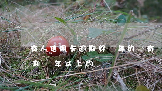 有人信用卡逾期好幾年的嗎(有沒有信用卡逾期兩年以上的)