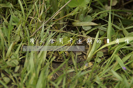 有人信用卡逾期的嗎(有信用卡逾期的嗎?)