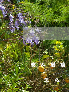 有人借信用卡不還怎么處理(有人借信用卡不還怎么處理)